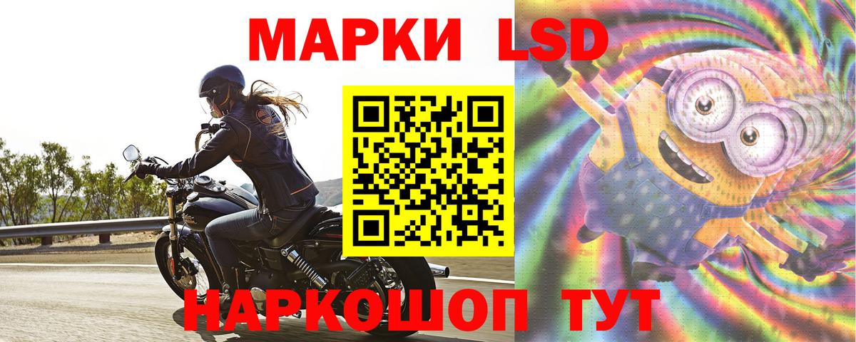 Лсд 25 экстази ecstasy  Вход с VPN  Новороссийск  LSD-25 экстази кислота 