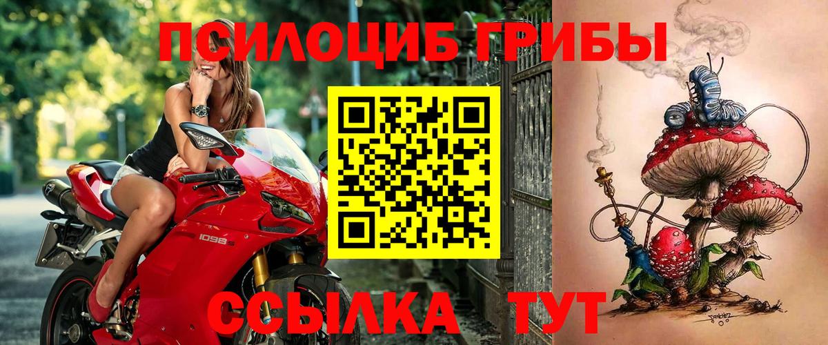Галлюциногенные грибы прущие грибы  Вход с VPN  Новороссийск 
